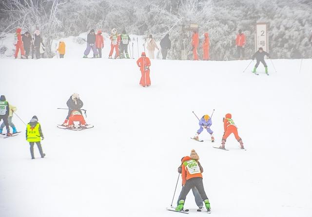 金佛山喜降瑞雪，南国雪原迎绝美盛景！