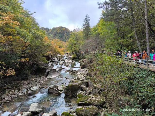 排队游览光雾山