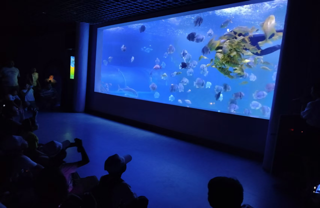 探秘深海智慧 点燃科学梦想——赛马场街道暑期研学游走进乌鲁木齐市海洋馆