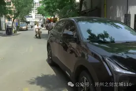 宠物狗意外被轧 责任究竟谁来承担图片