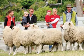 毫无存在感的“农业国”新西兰，凭什么是世界前十发达的国家？图片