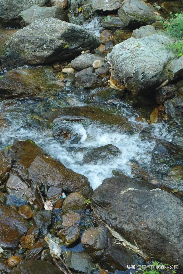 身体和心灵总有一个在路上 | 这个秋天，一起观赏黑河的山川湖海