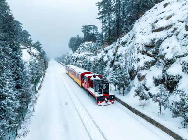 颜值暴击！好期待明月山下雪呀~