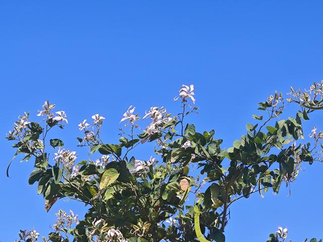 塘朗山郊野公园[绿平二路入口]骑行爬坡好地方