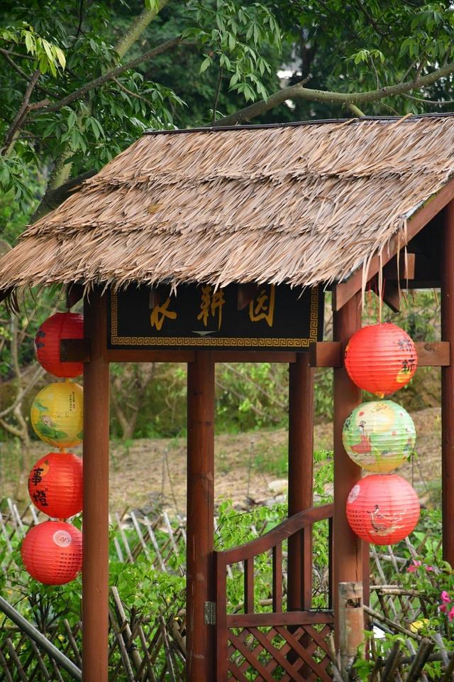 深活指南 | 正值花期！在南山这片金色花海中，找回长假后的松弛感~​