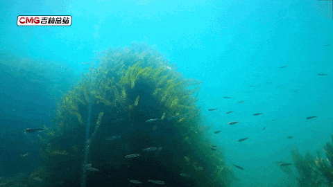 承包最治愈的冬日秘境！收下这份超详细赏玩攻略，12月出发正好