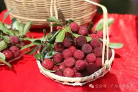 今天，小满遇上“520”！图片