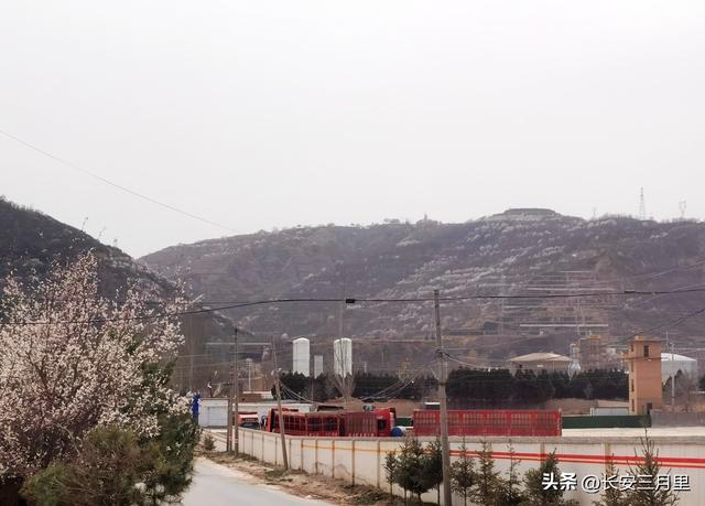 走马观花马岭川，我的油田朋友，你们还好吗？