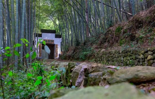 藏不住了！萧山的春天，美到犯规！
