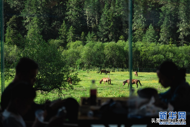 在云南普达措景区感受夏日清凉