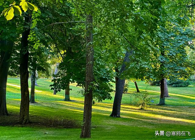 西葡游（十二）马德里皇宫和普拉多