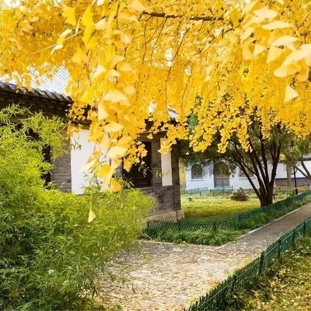 解锁宝藏小城的秋日浪漫——美景篇（一）
