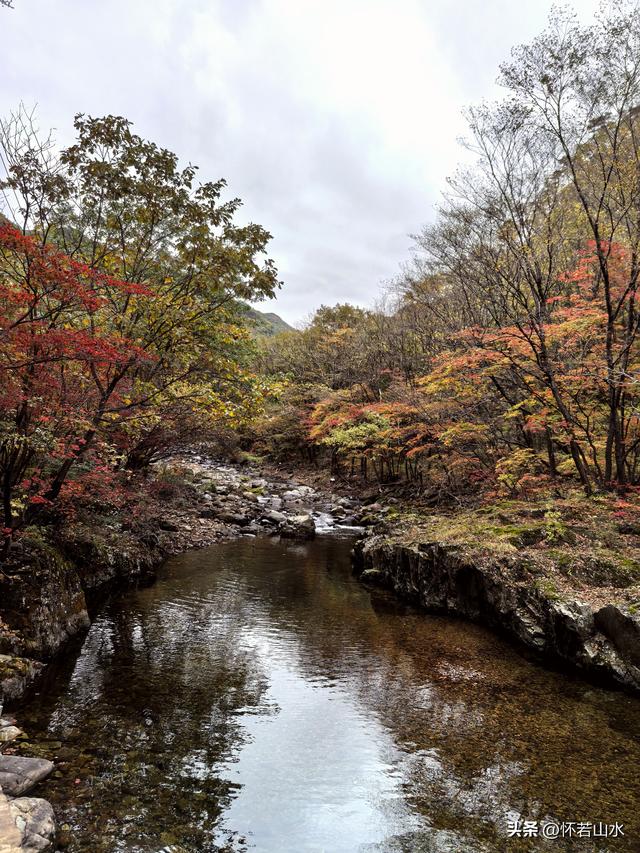 2025辽宁赏秋之旅日记(2)——游览丹东蒲石河森林公园