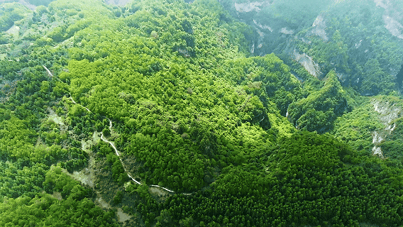地球脉动·定西篇 | 黄土高原的野性呼唤，西北最被低估的秘境