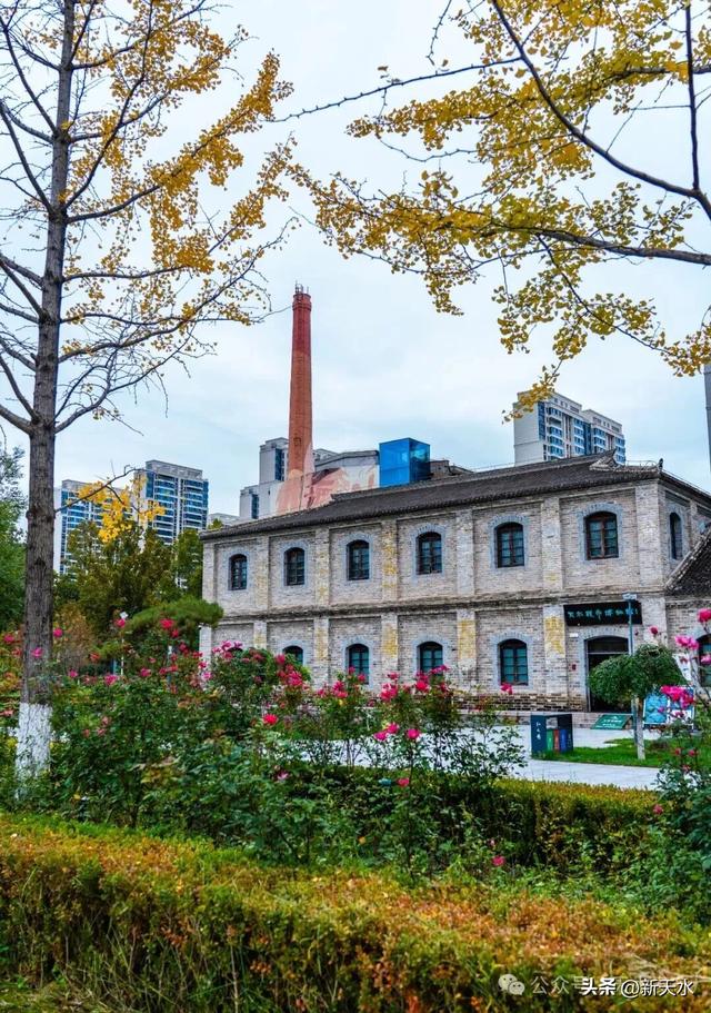 天水弘文园秋景美翻了，快去打卡！