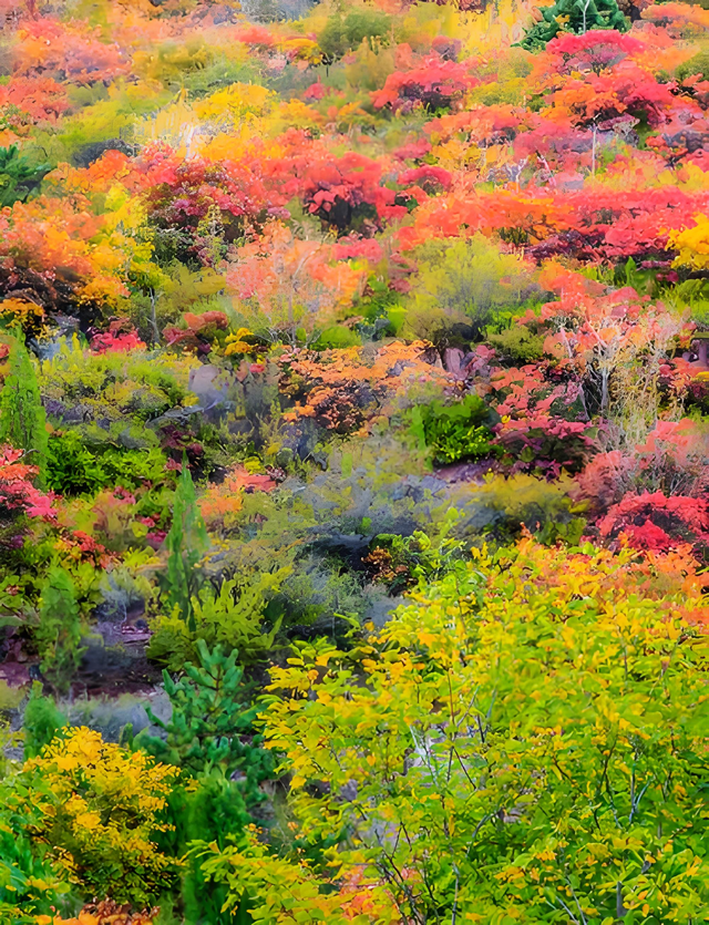 山东被低估的仙山，山峦叠嶂，溪流蜿蜒，被誉为 “江北小九寨”
