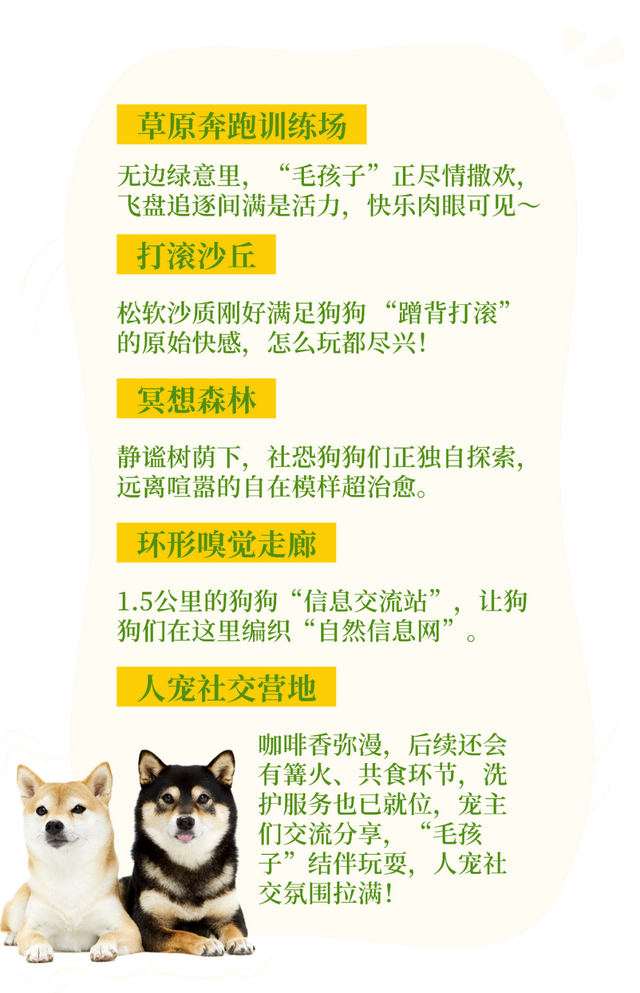 汪汪队！集合！