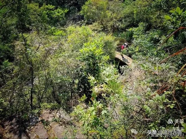 秋风起，浙江这条绝美海岛风光徒步穿越线路，可以安排了！