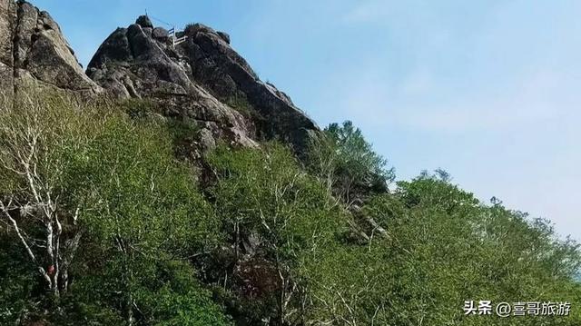 探秘三江之巅：桦南七星峰国家森林公园纪行