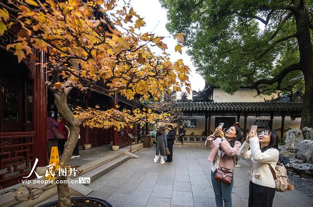 上海：豫园色彩斑斓迎客来