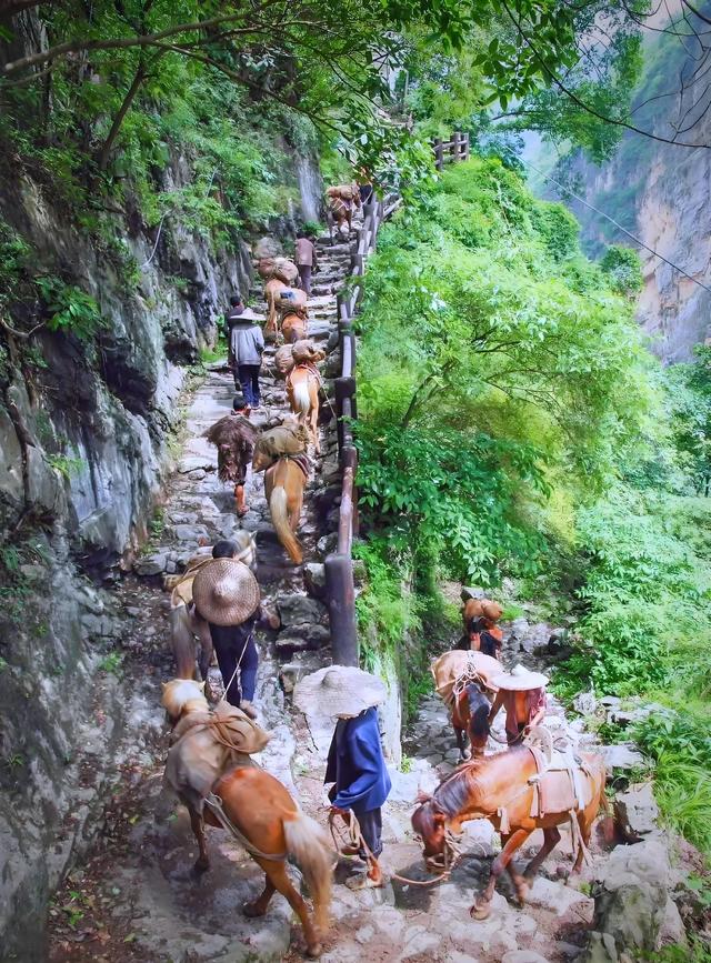 踏迹寻音：前往昭通盐津豆沙关，穿越千年观摩唐摩崖
