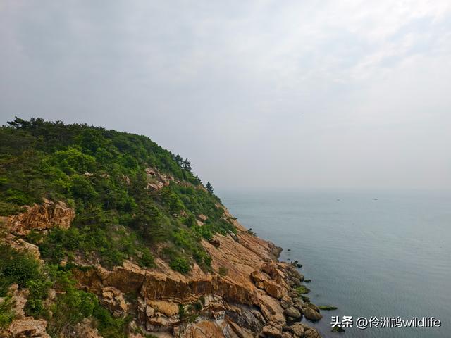 大连海之韵公园·棒槌岛
