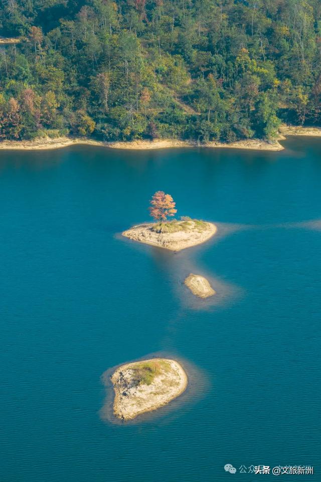 别去日本了！新洲的“同款”风景，美得更懂你