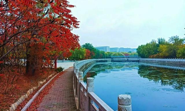 14个免费公园遛娃全攻略：看猴、玩水、露营、徒步一次集齐！速藏