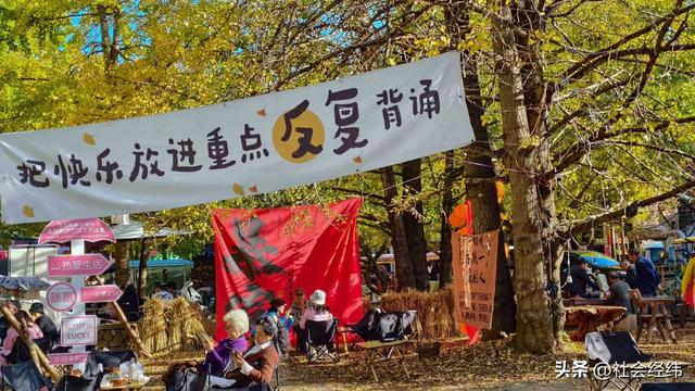 金色童话！腾冲千年银杏村，巷陌皆染秋光醉