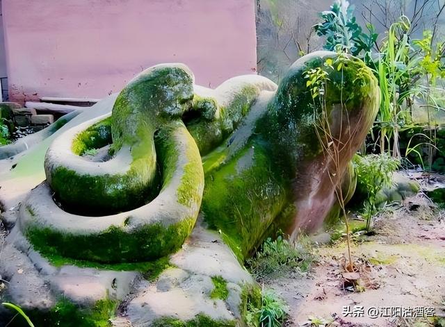 八年如一梦，年年凭吊神臂城，老泸州的精神让我泪目