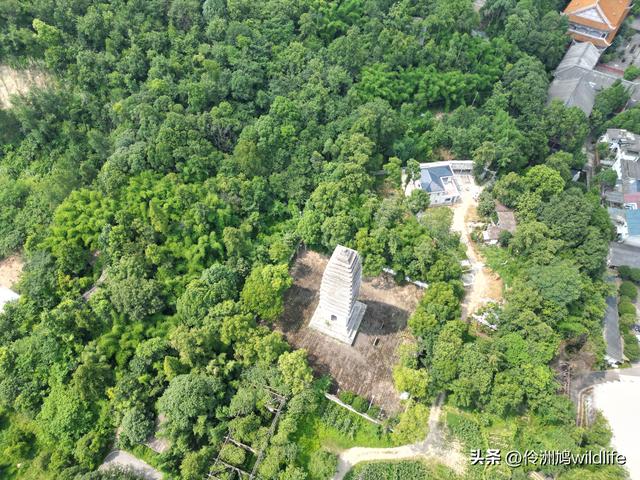 成都徒步（68）·彭州篇⑮佛山古寺&镇国寺宝塔