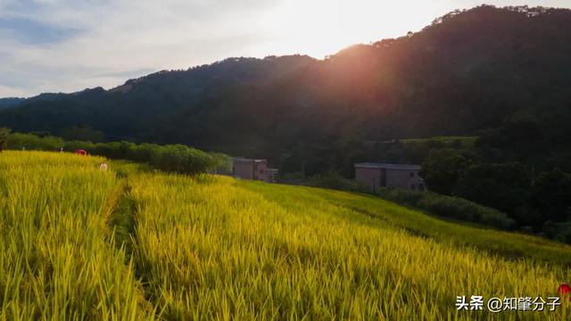 肇庆这里藏着“梯田胜境”，美得不像话！