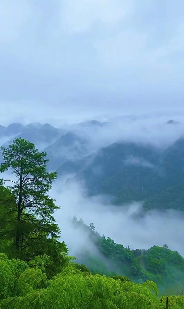云雾缭绕，风光无限美，人间仙境！