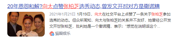 狐狸尾巴藏不住，撒谎成性、风流潇洒的张柏芝，被陈晓东撕下体面