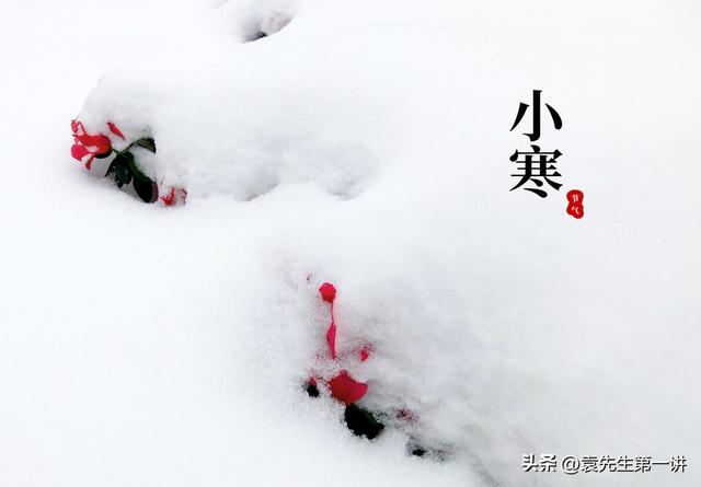 “上午小寒是暖冬，下午小寒冻死牛”，今年小寒几点？有啥说法？