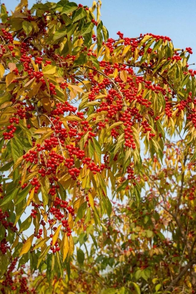 太原市迎泽区：府城漫步｜满城色彩绘就秋日画卷