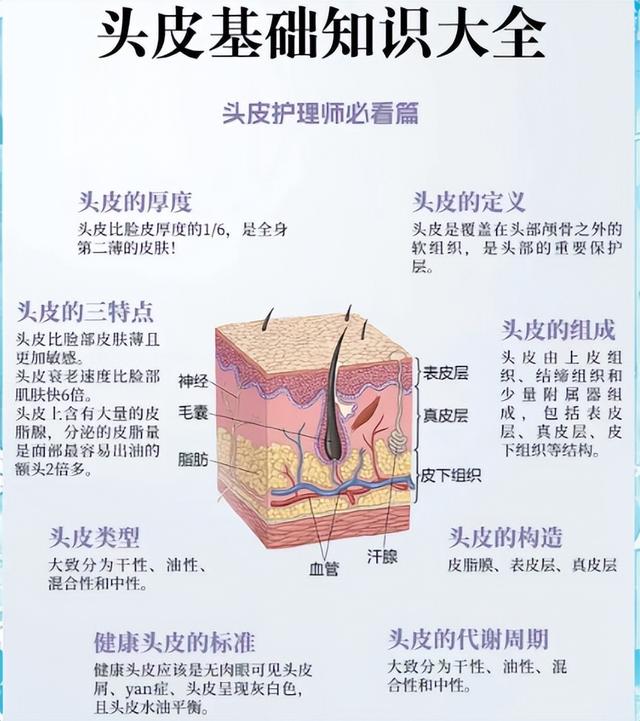 传统品牌逆袭：GMV暴涨250%，成本反降30%，破“增长必烧钱”魔咒