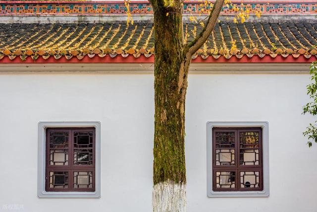 接下来，长沙的天花板级秋景在这里！一年中的颜值巅峰期，美哭！