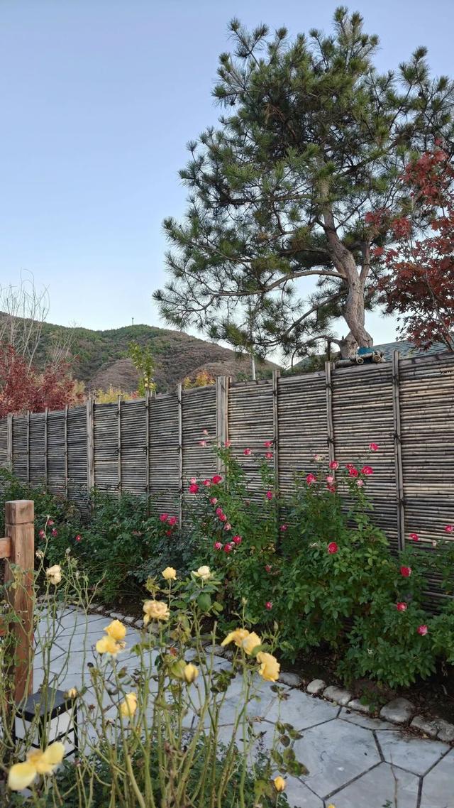 快看！京西福地门头沟已经满是秋天的颜色——