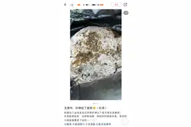 游客在威海海边捡到疑似龙涎香，真品价值800万元图片
