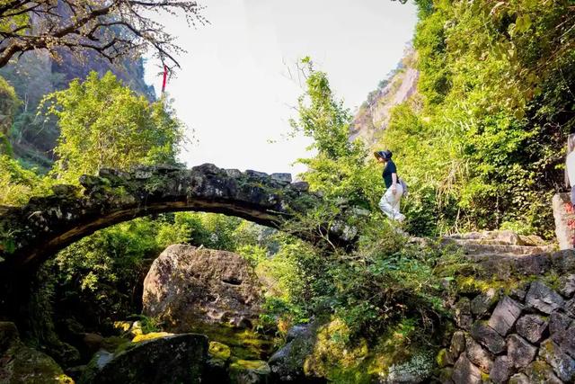 住山舍、寻茶趣、探自然！武夷山的康养时光，尽是自在与松弛
