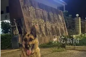 后续：云南“被偷”退役警犬已找到，看到网友评论，真的很好笑图片