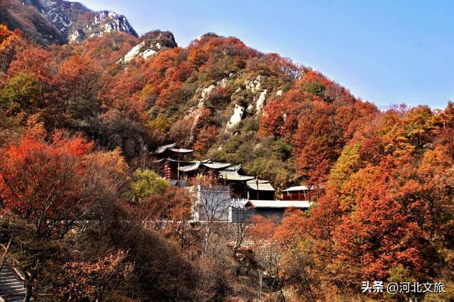 秋意正浓！是时候来石家庄平山开启一场秋日徒步了