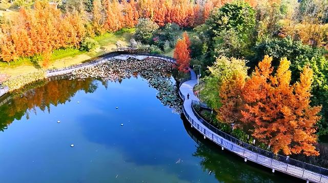 打卡心形湖！重庆这个公园美成油画