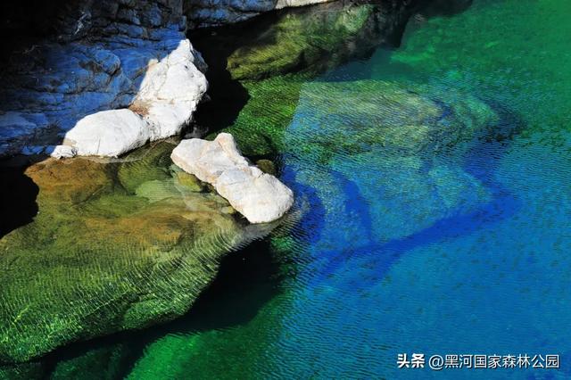 初秋美景大放送,自驾黑河,感受秋天的第一份浪漫!