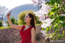 是时候与丁香撞个满怀了图片