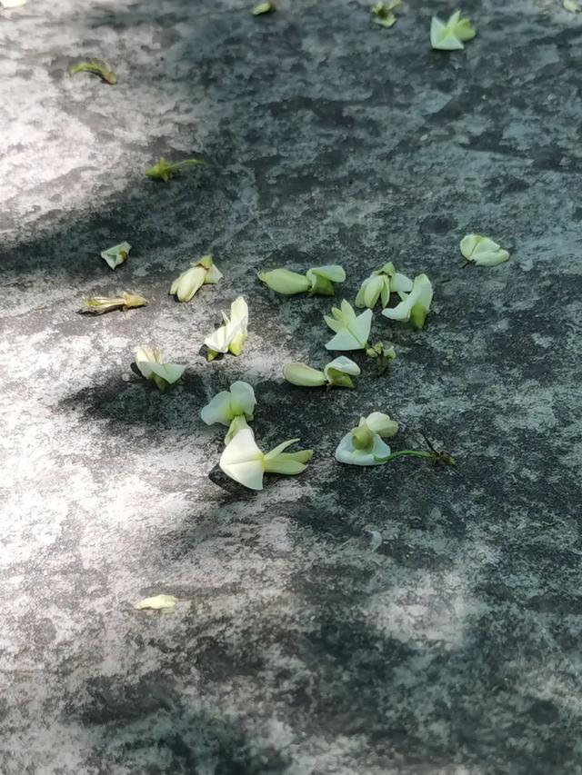 山东有座2000年前的名城，寻访李清照范仲淹们在青州古城的足迹