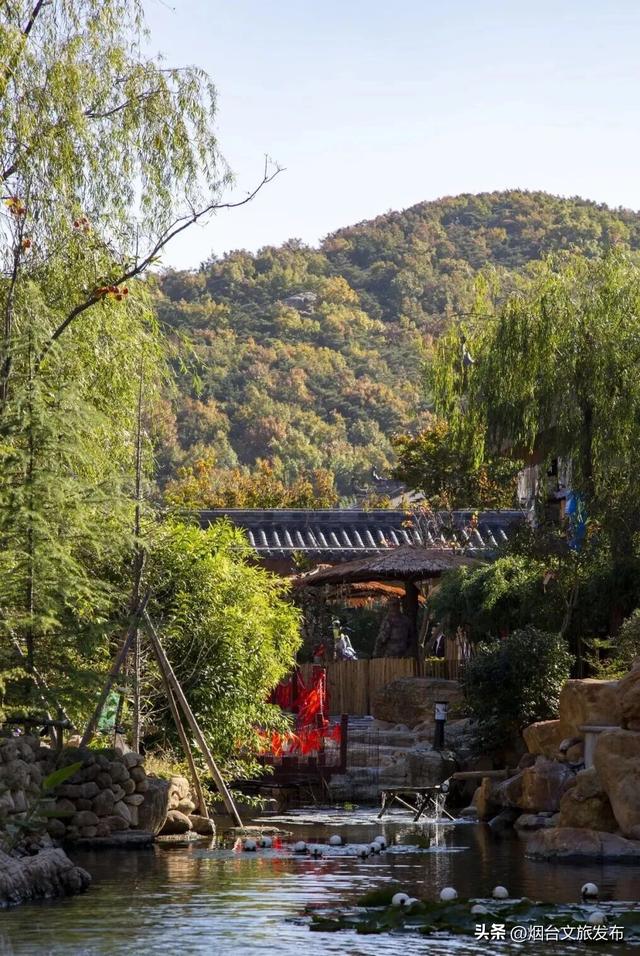 【乐游烟台】周末好去处丨被烟台家门口的赏秋徒步地，美哭了！