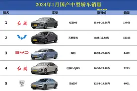 太强了，1月国产中型轿车销量，五菱星光第2，荣威D7第5，MG7第9图片