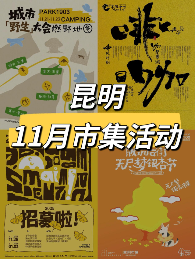 谁懂啊！昆明把冬天过成童话：观鸥、赏银杏、逛市集还能炫咖啡！